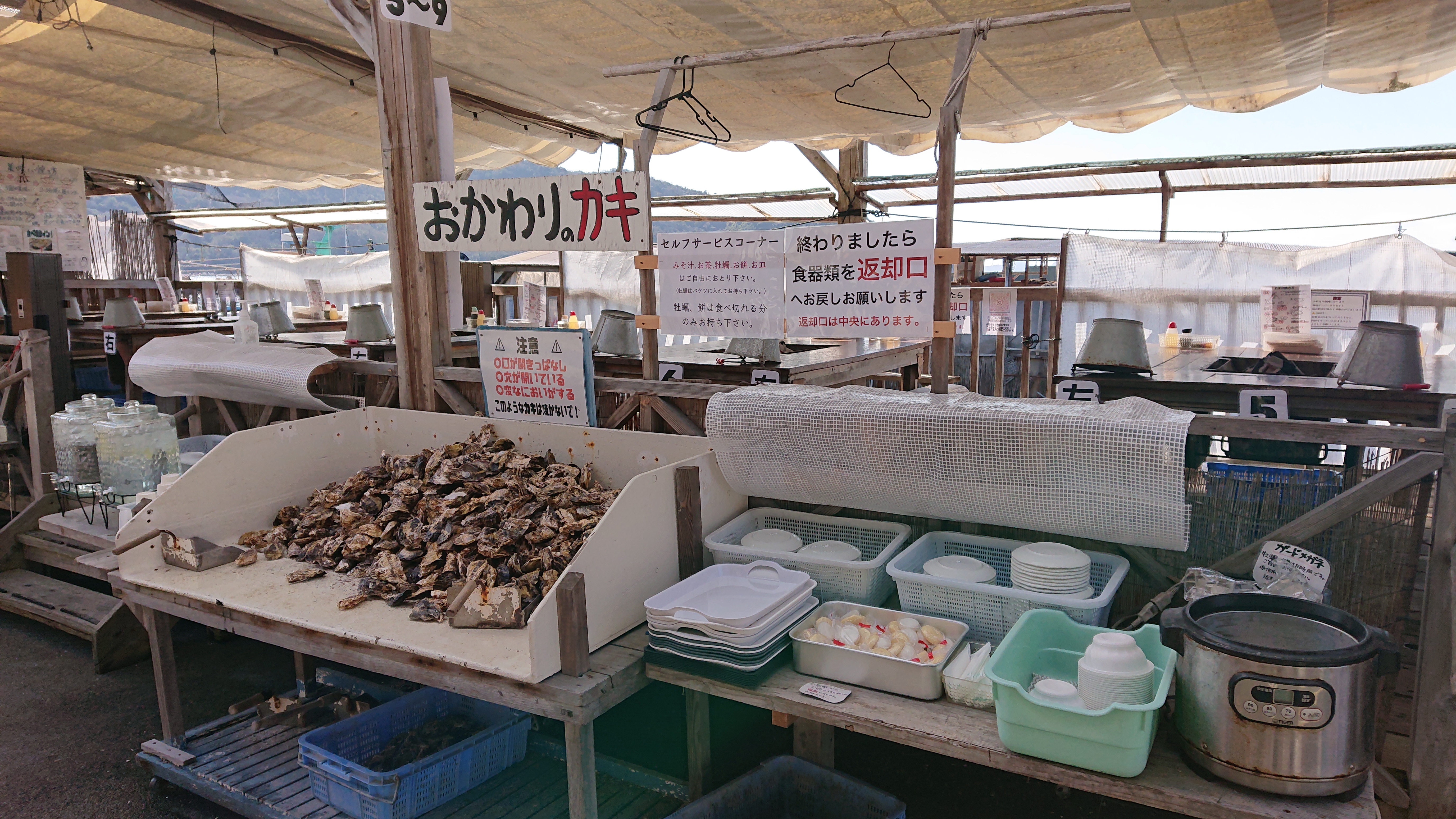 赤穂しおさい市場の評判と真実！名物坂越牡蠣Bbqと混雑対策を徹底解剖