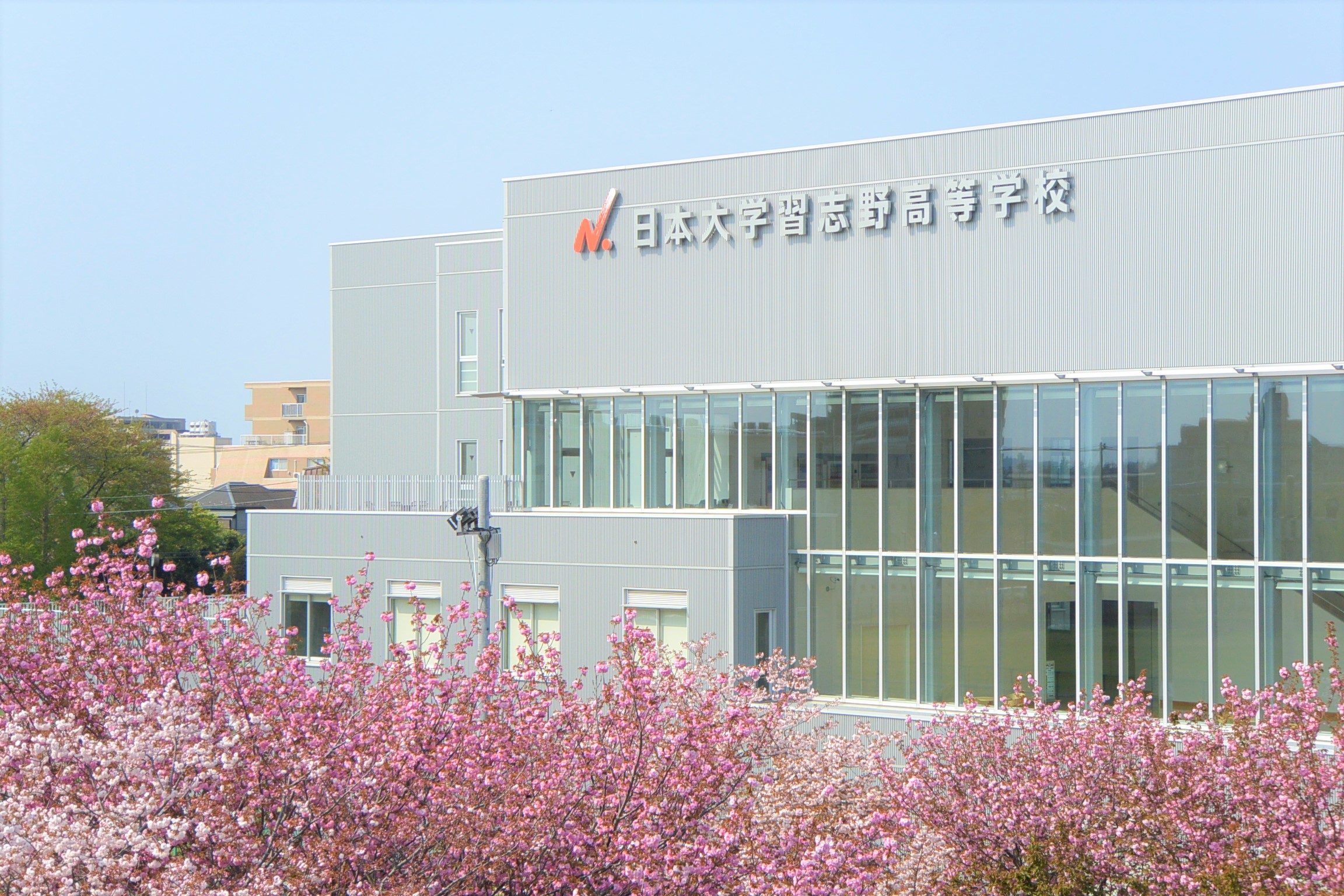 日大習志野高校の偏差値と進学実績｜内部進学の強みとリアルな評判