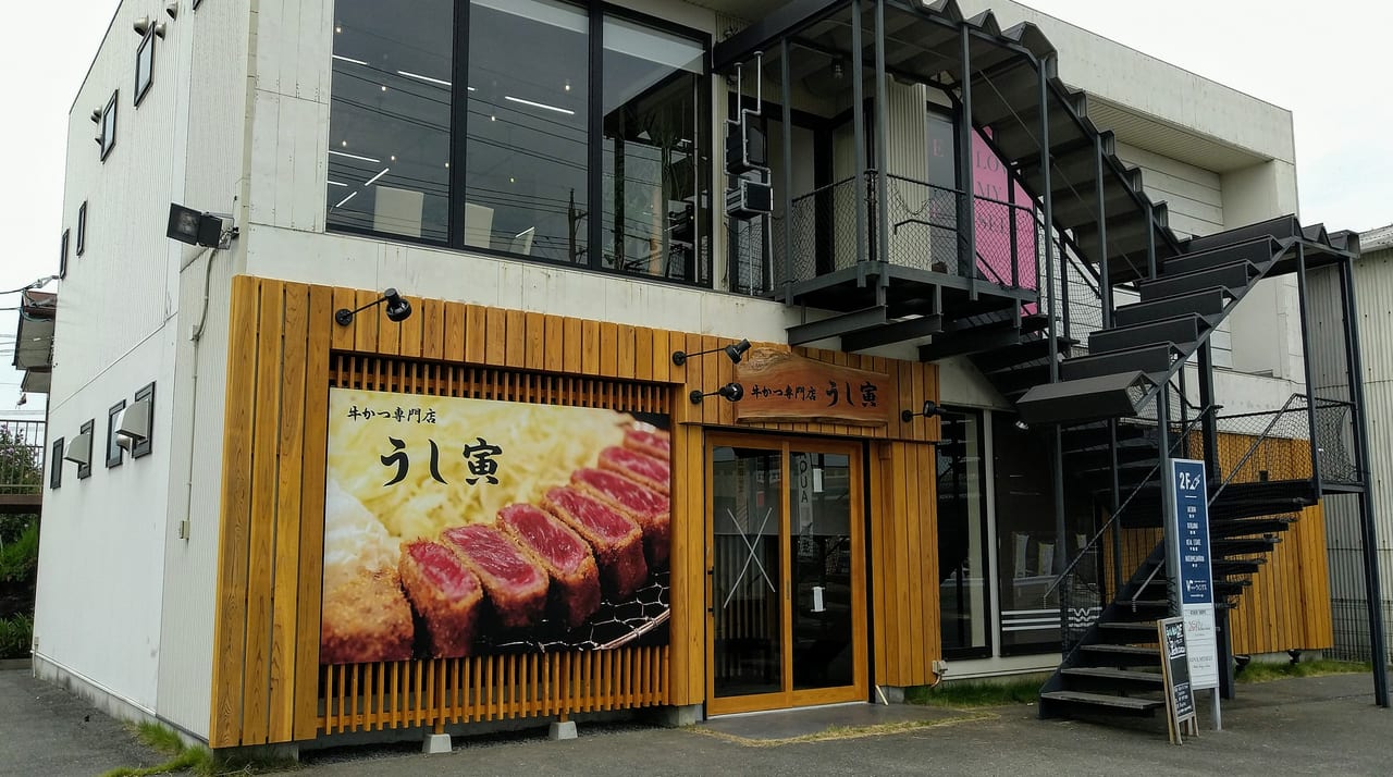 牛かつ専門店うし寅の行列理由とは？混雑やメニュー値段・評判を徹底検証