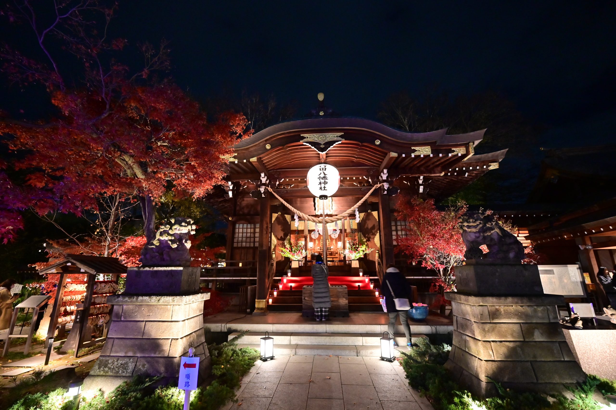 行田八幡神社の癌封じとぼけ封じが全国で評判を集める理由を徹底検証