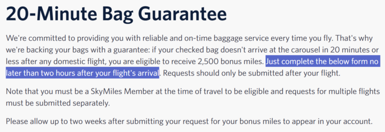 Delta 20 Minute Bag Policy