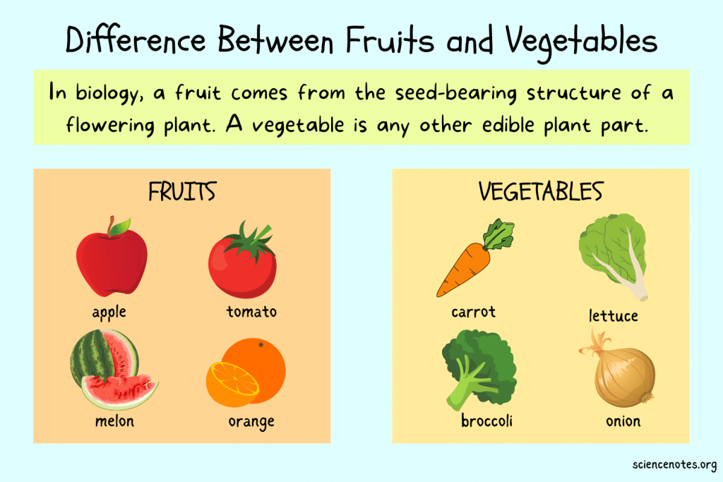 What Is the Difference Between a Vegetable and Fruit