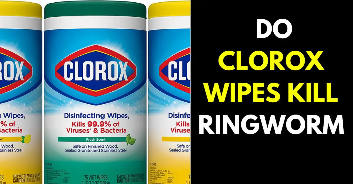 Can Clorox Wipes Kill Ringworm