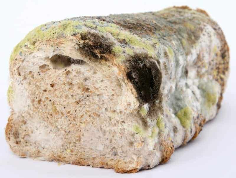 Does Bread Go Bad
