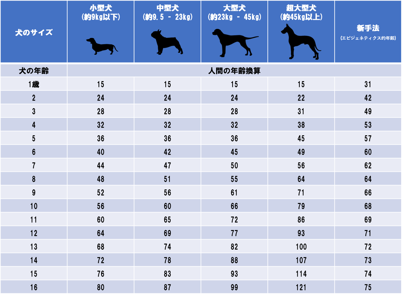 犬の7歳は人間だと何歳？小型犬44歳・大型犬54歳の真実と健康法