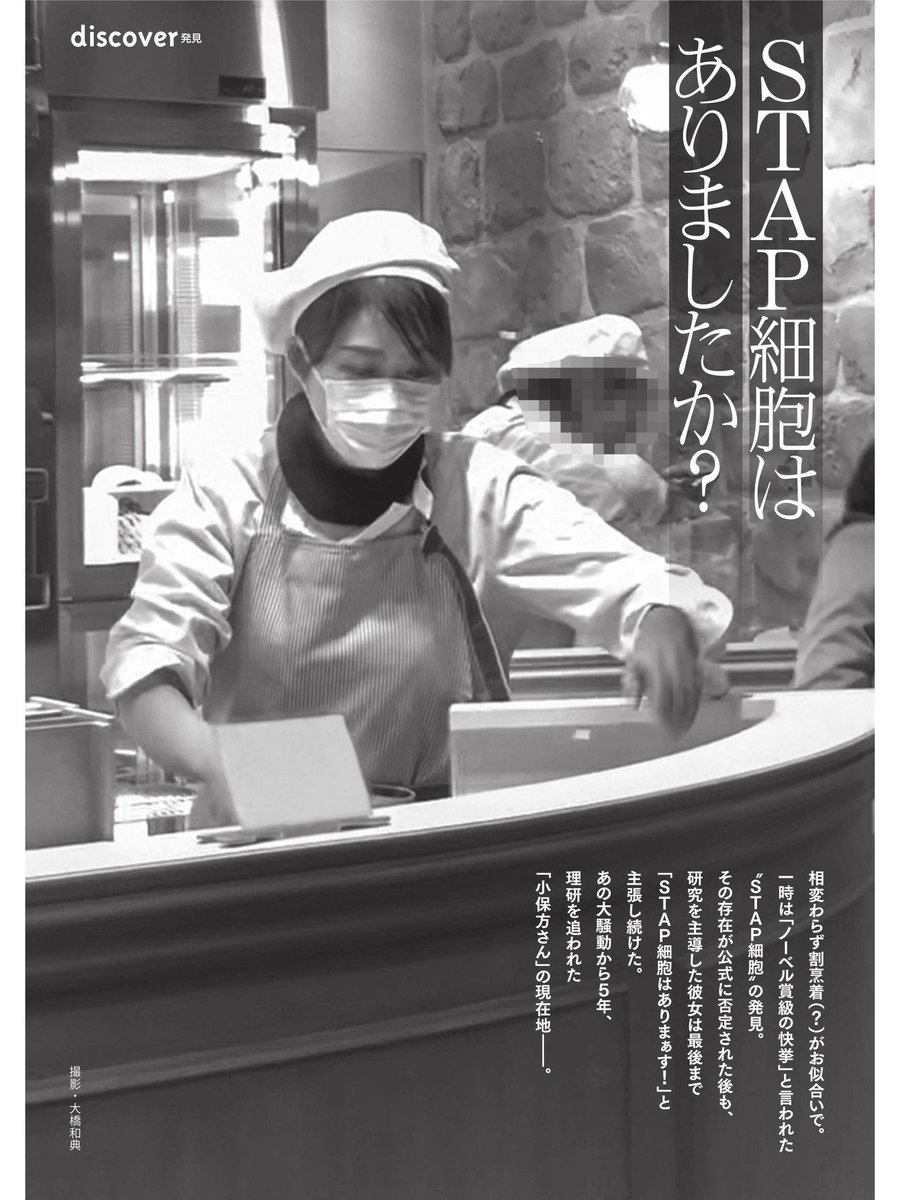 小保方晴子の現在2026｜結婚やスイーツ店勤務の真相と今の収入源