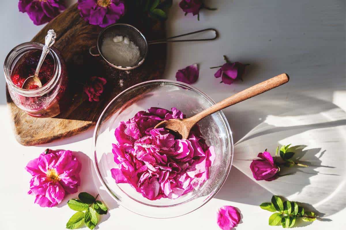 Can You Eat Rose