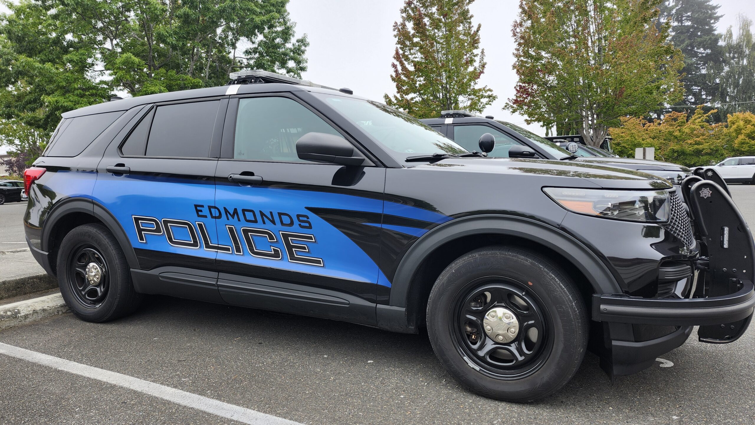 Edmonds Police Blotter