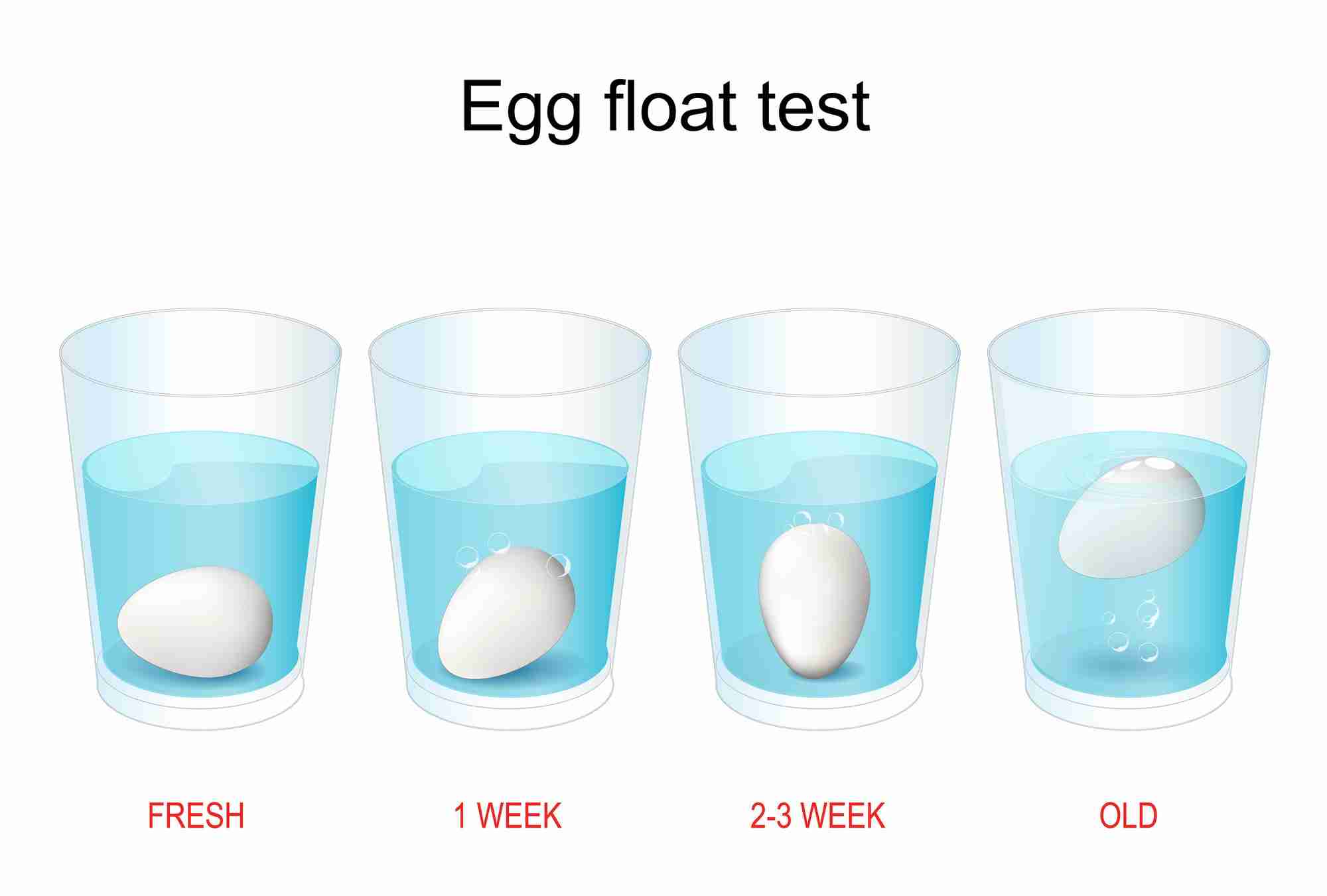 Water Test to See If Eggs Are Good