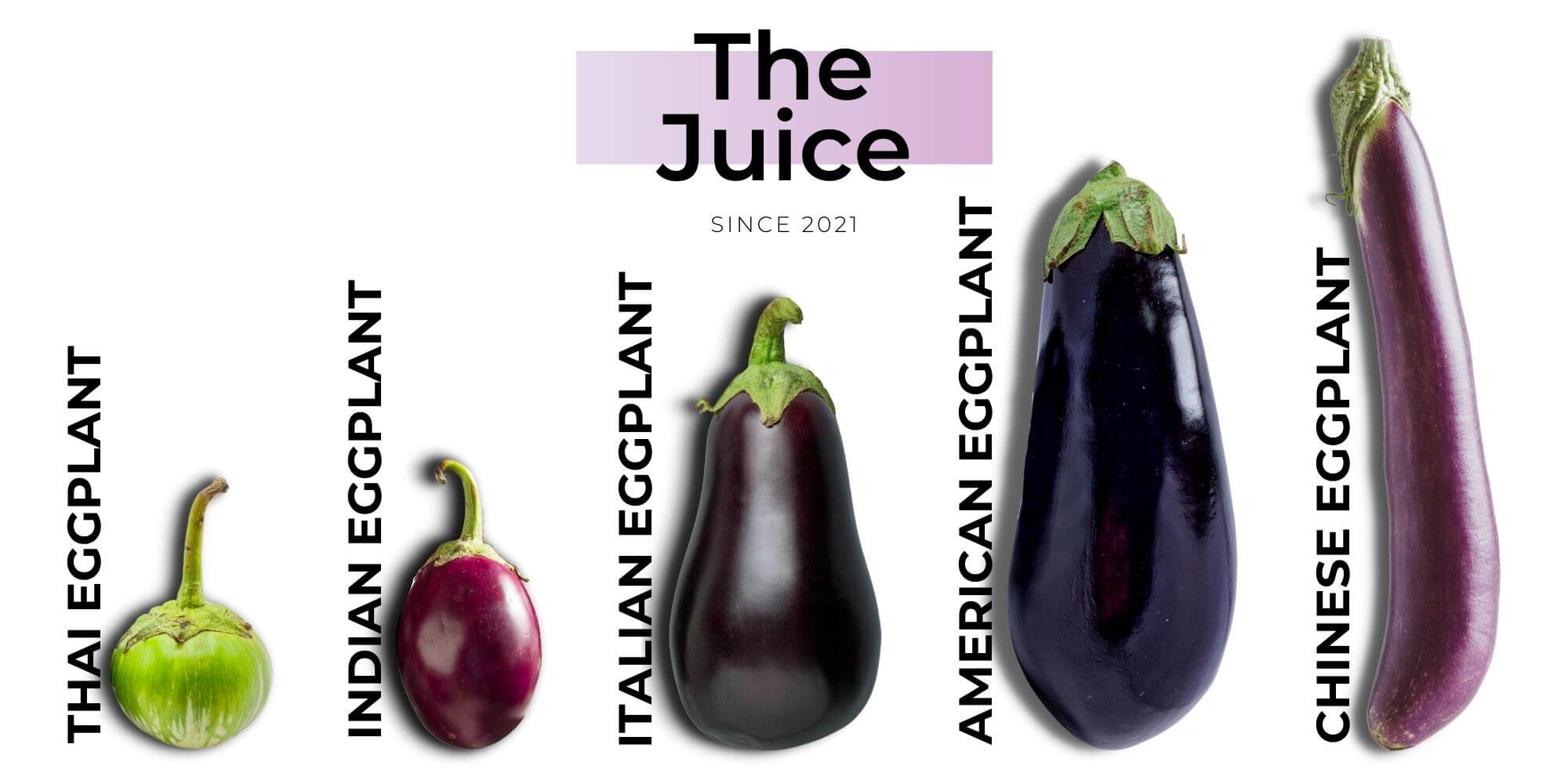 Italian Eggplant vs Regular Eggplant