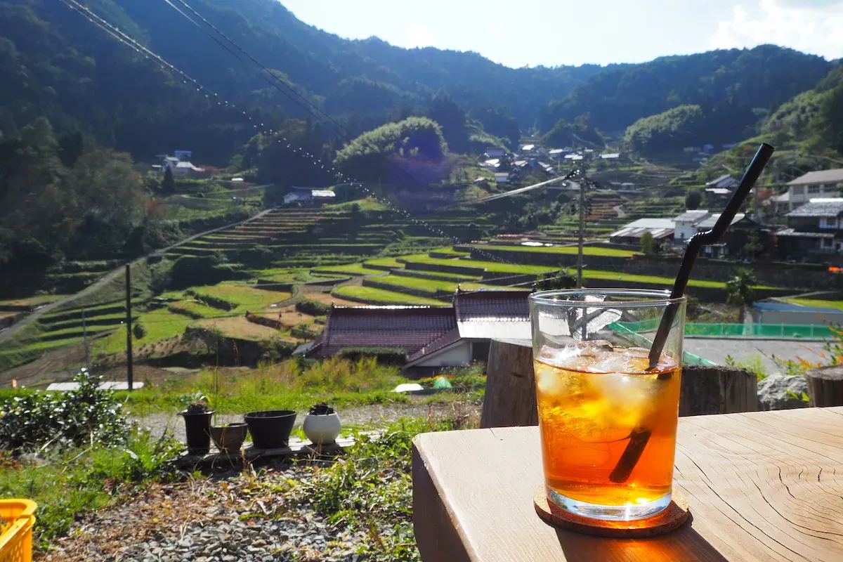 棚田カフェイニミニマニモ徹底解説！大山千枚田の絶景と名物グルメ