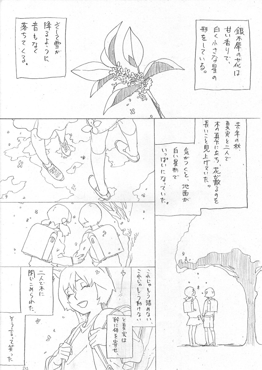 【2026年最新】なぜ今『星の花が降る頃に』が世界を揺さぶるのか？教科書の名作がZ世代と大人たちの心を掴む理由