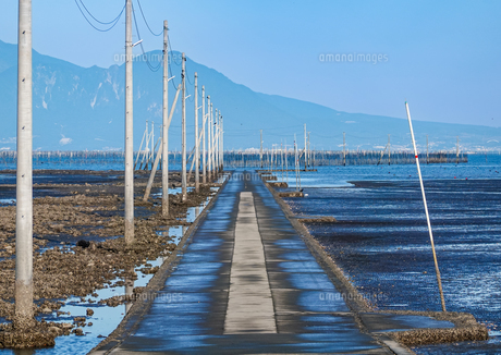 【画像あり】 長 部 田海 床 路 気になる噂と真相 #644