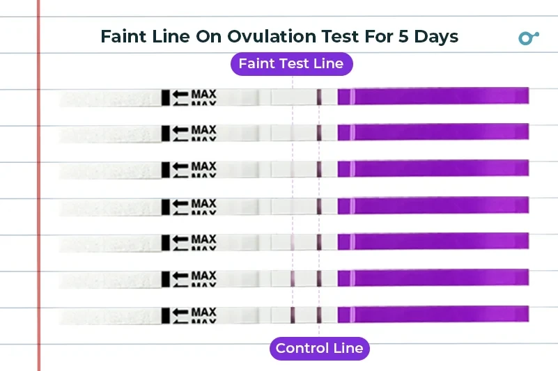 Faintly Positive Ovulation Test
