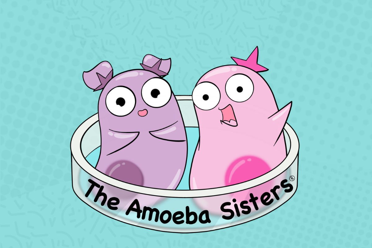 Science Can Lead to the Development of Amoeba Sisters