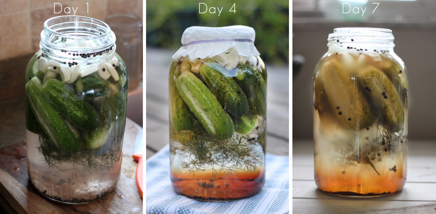 How Long Do Pickles Take to Ferment