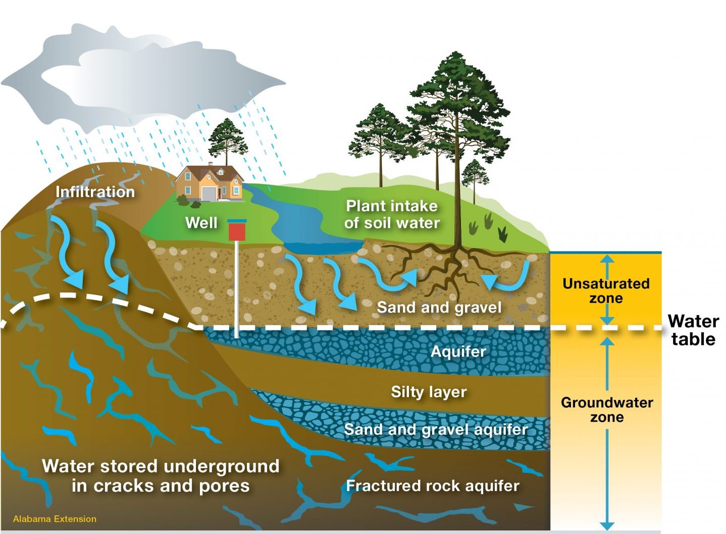 How Does Water Enter an Aquifer