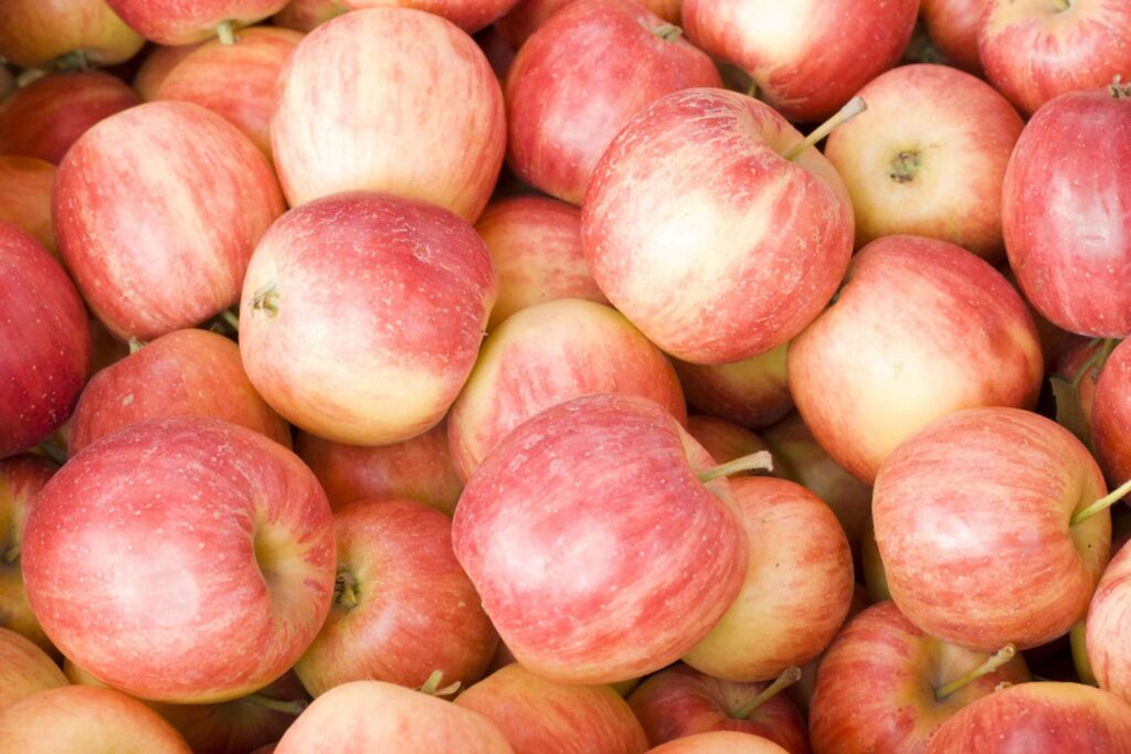 Fuji Apples Good for Baking