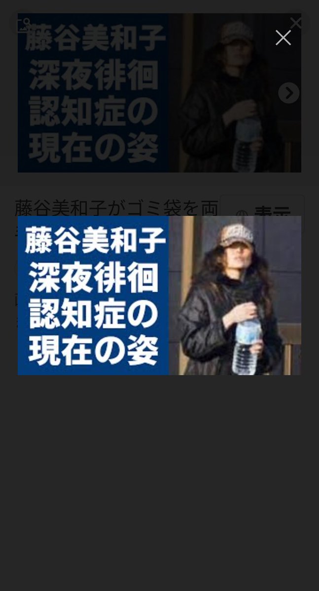【2026年最新】藤谷美和子は今どこで何をしているのか？『愛が生まれた日』を歌い上げた大女優の知られざる現在地と真実