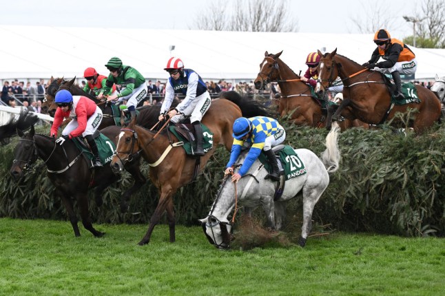 How Many Horses Died in Grand National