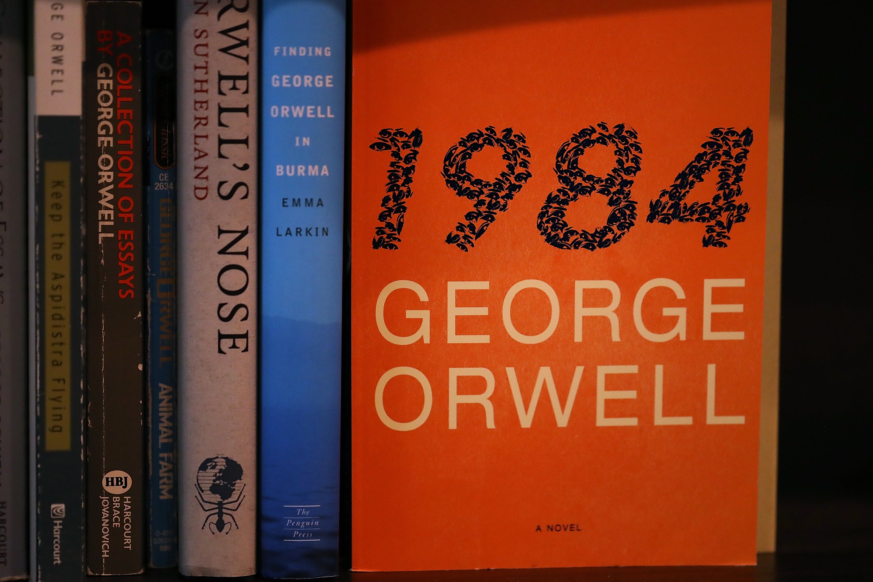 Publication Year of 1984 by George Orwell