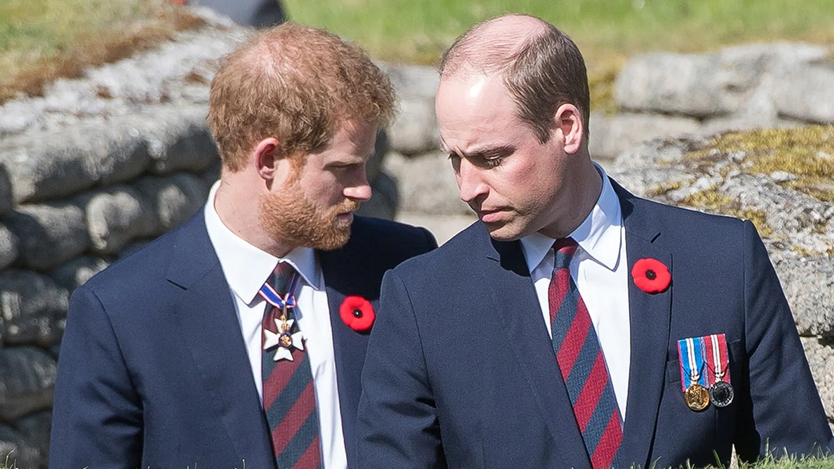 Prince William Permanently Ignores Prince Harry Due to Trust Issues