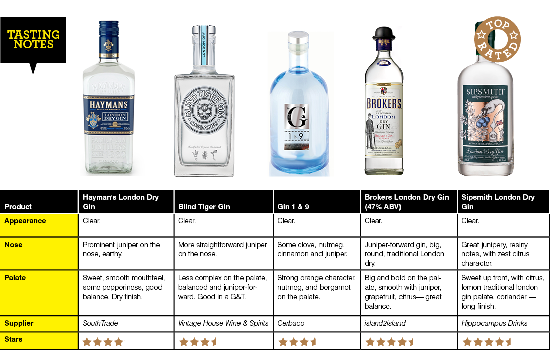 Does Gin Have Carbs