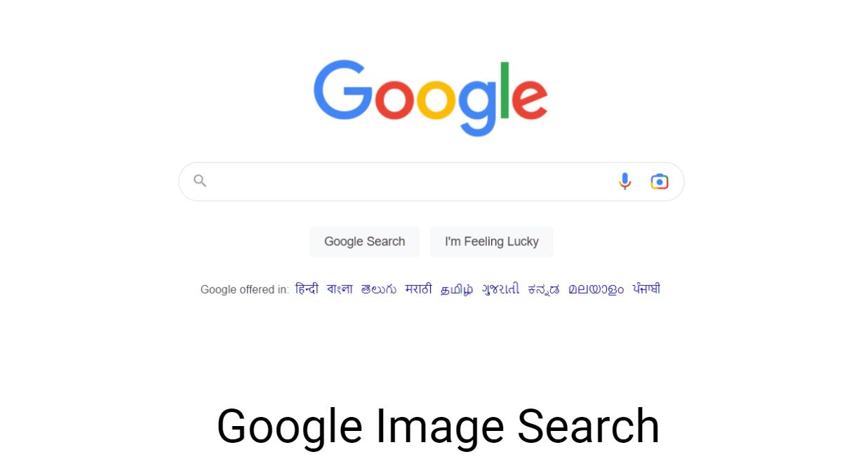 Google Image Serach