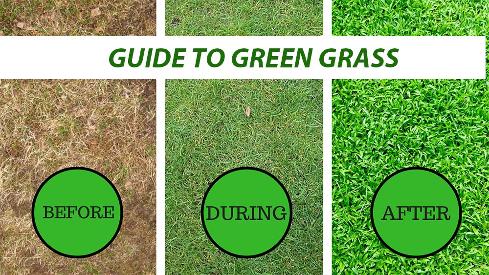 How Do I Get My Grass Greener