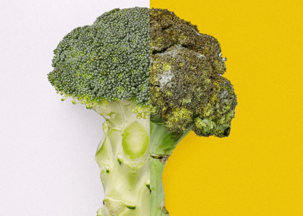 Does Broccoli Go Bad in the Fridge