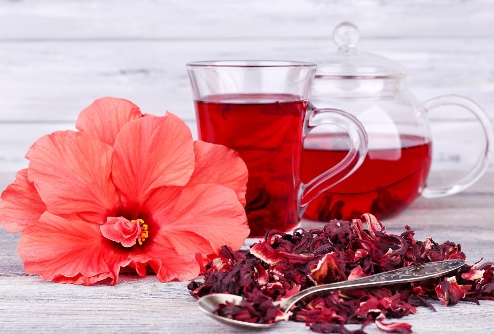 Hibiscus Tea Diuretic Effect