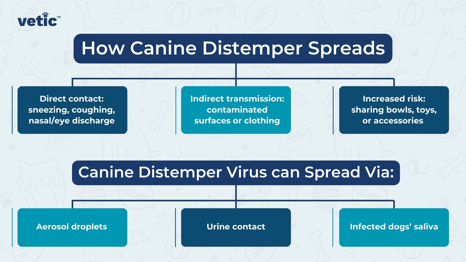 How Does Distemper Spread