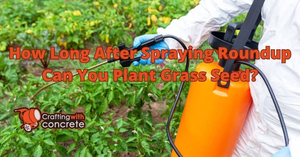 How Long After Spraying Roundup Can You Plant Grass Seed