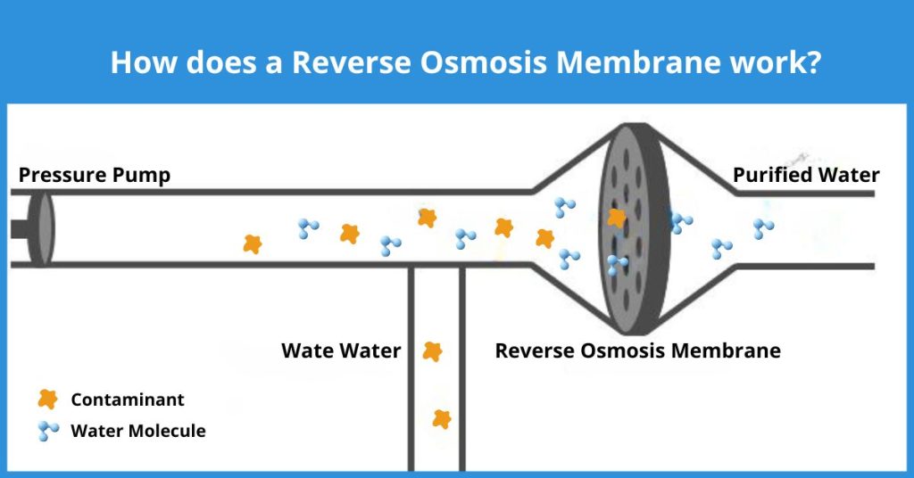 Does Reverse Osmosis Remove Mold