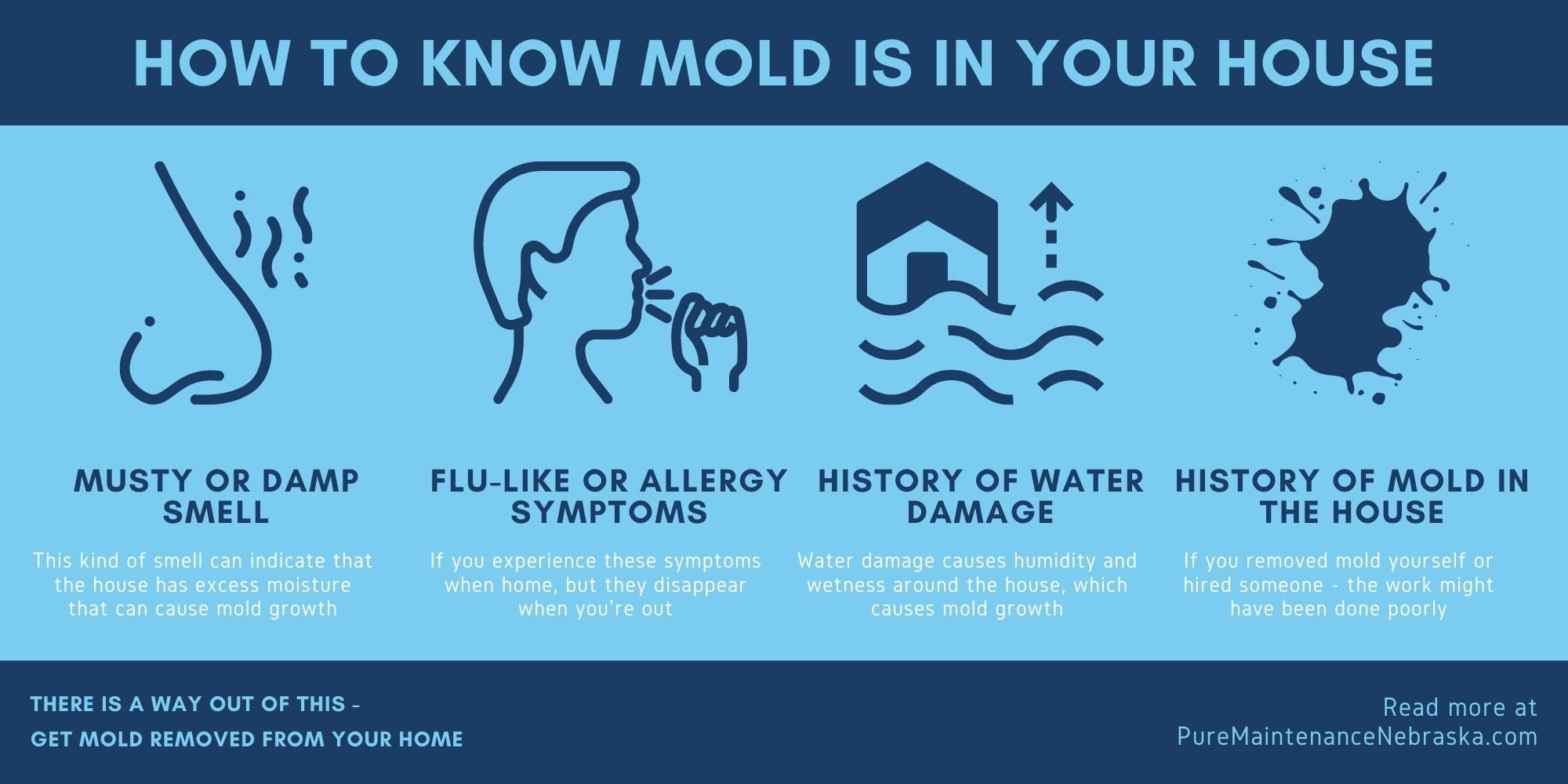 Can Mold Kill U