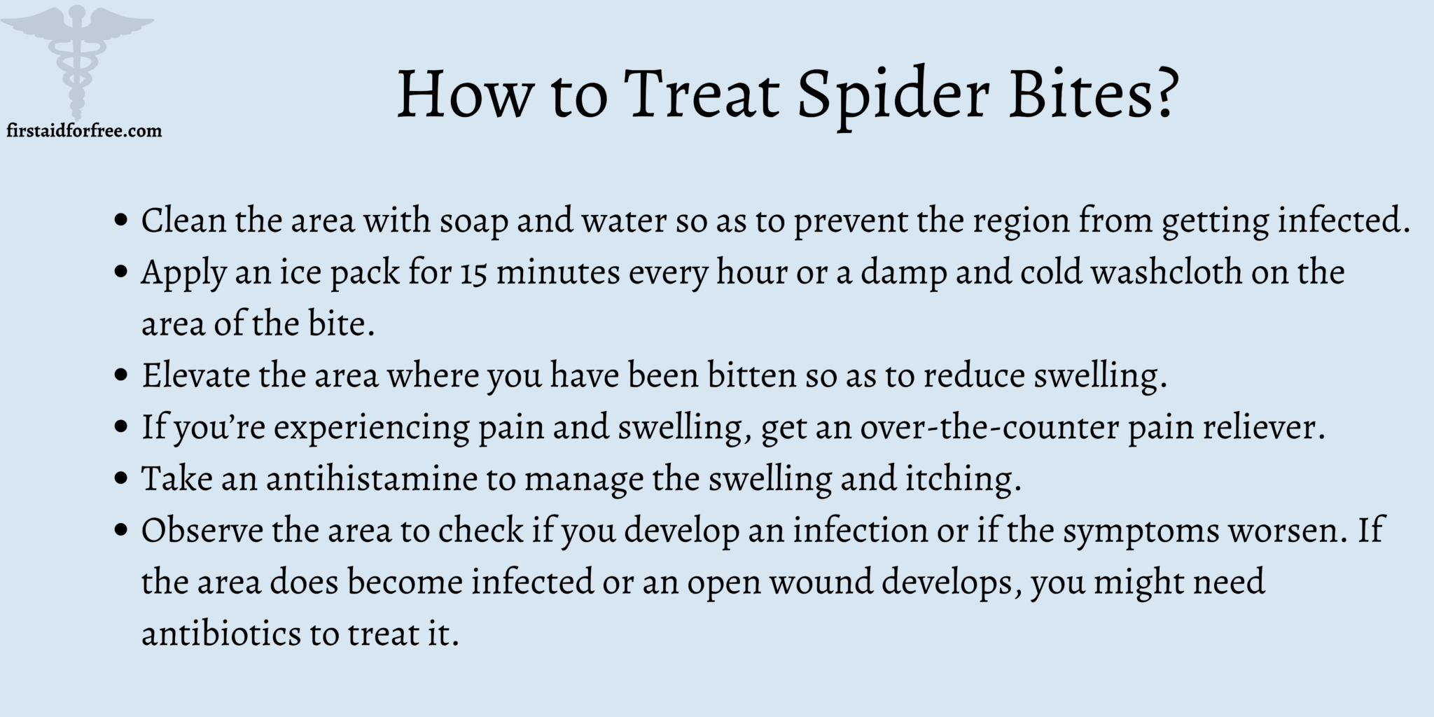 How to Treat a Spider Bite Uk