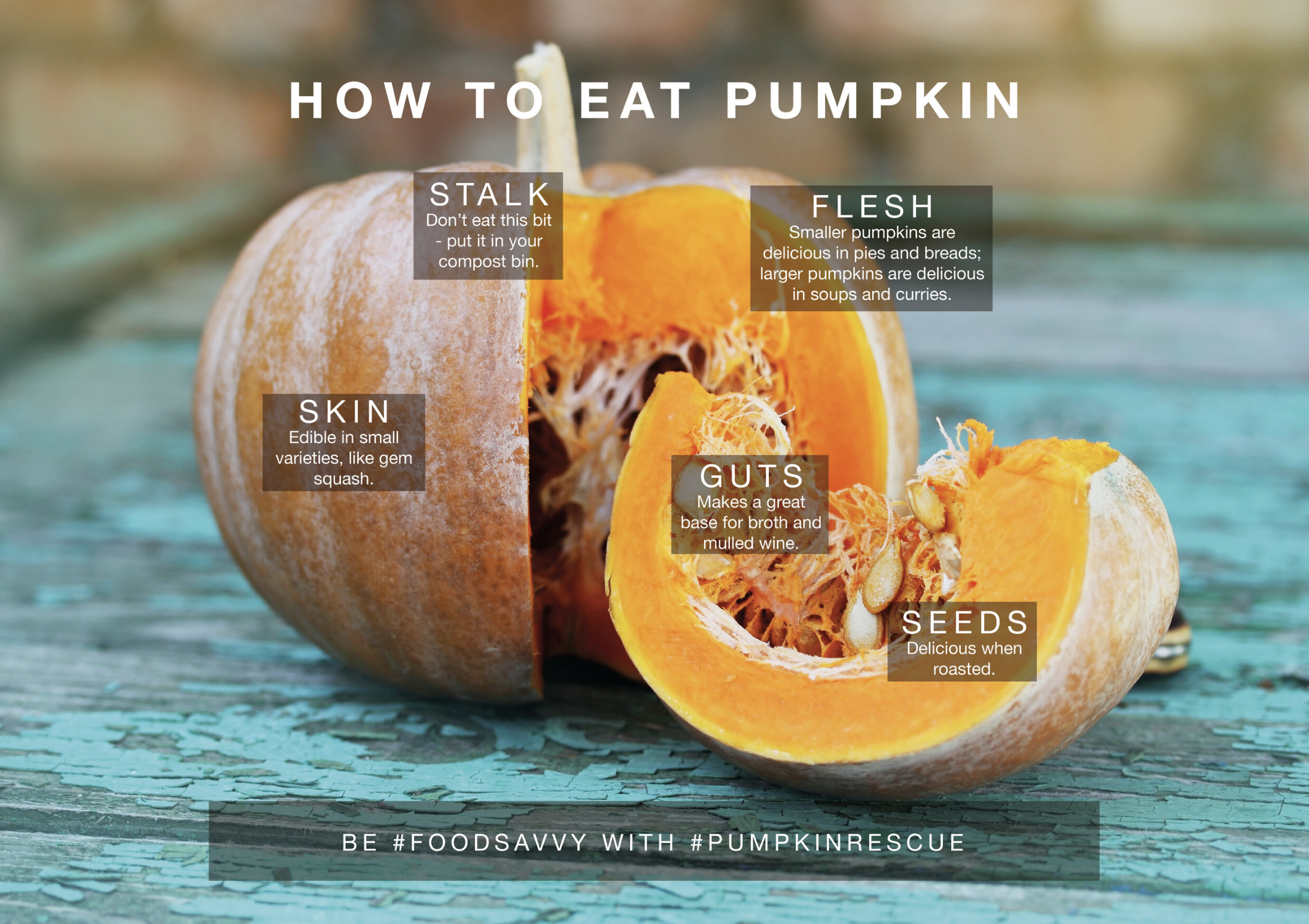 Can You Eat Regular Pumpkins