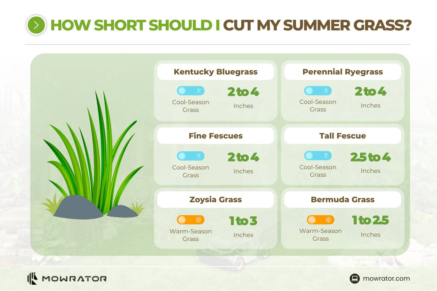 When Should I Cut My Grass