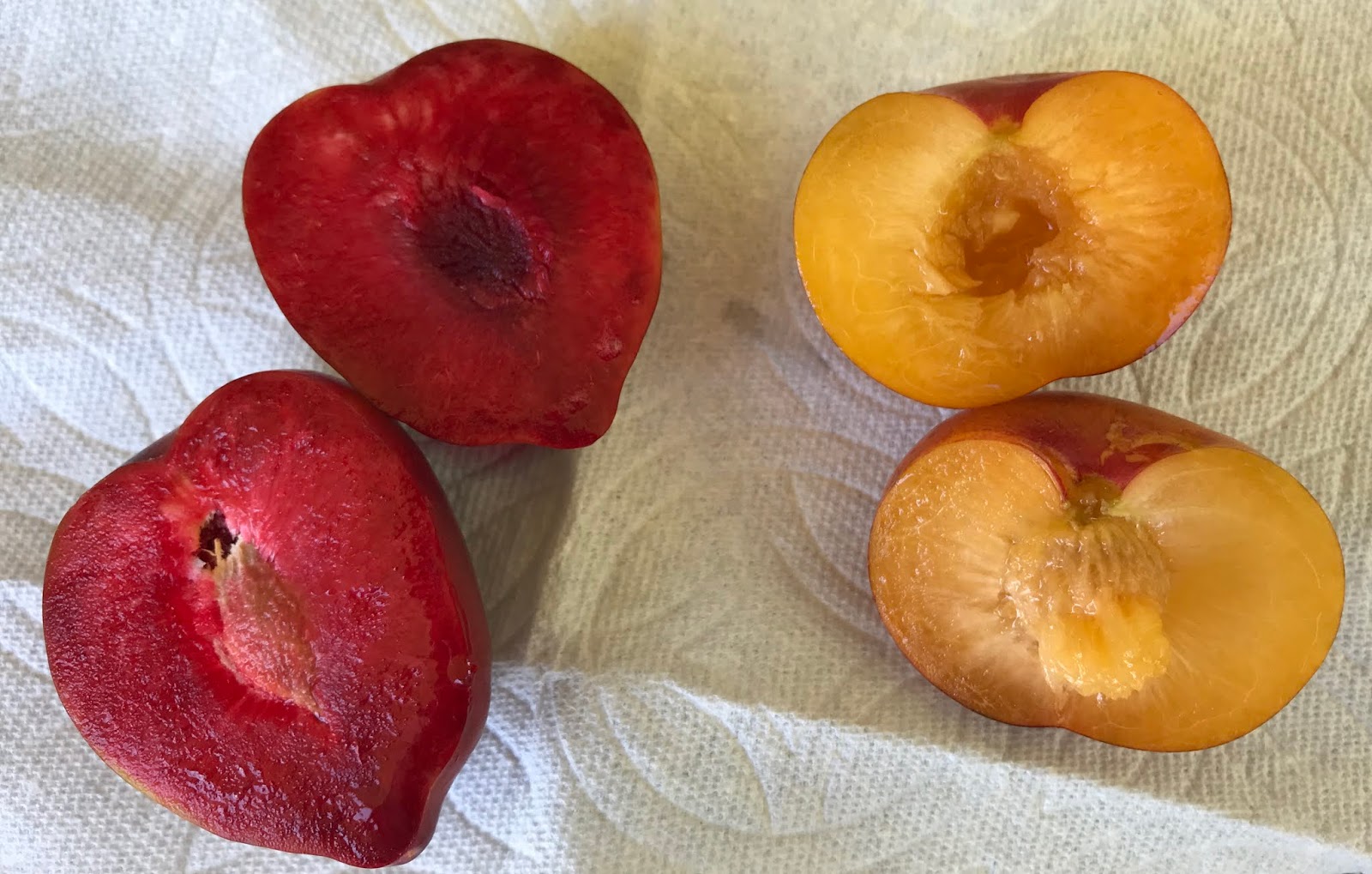 Peach Plum Hybrid Fruit
