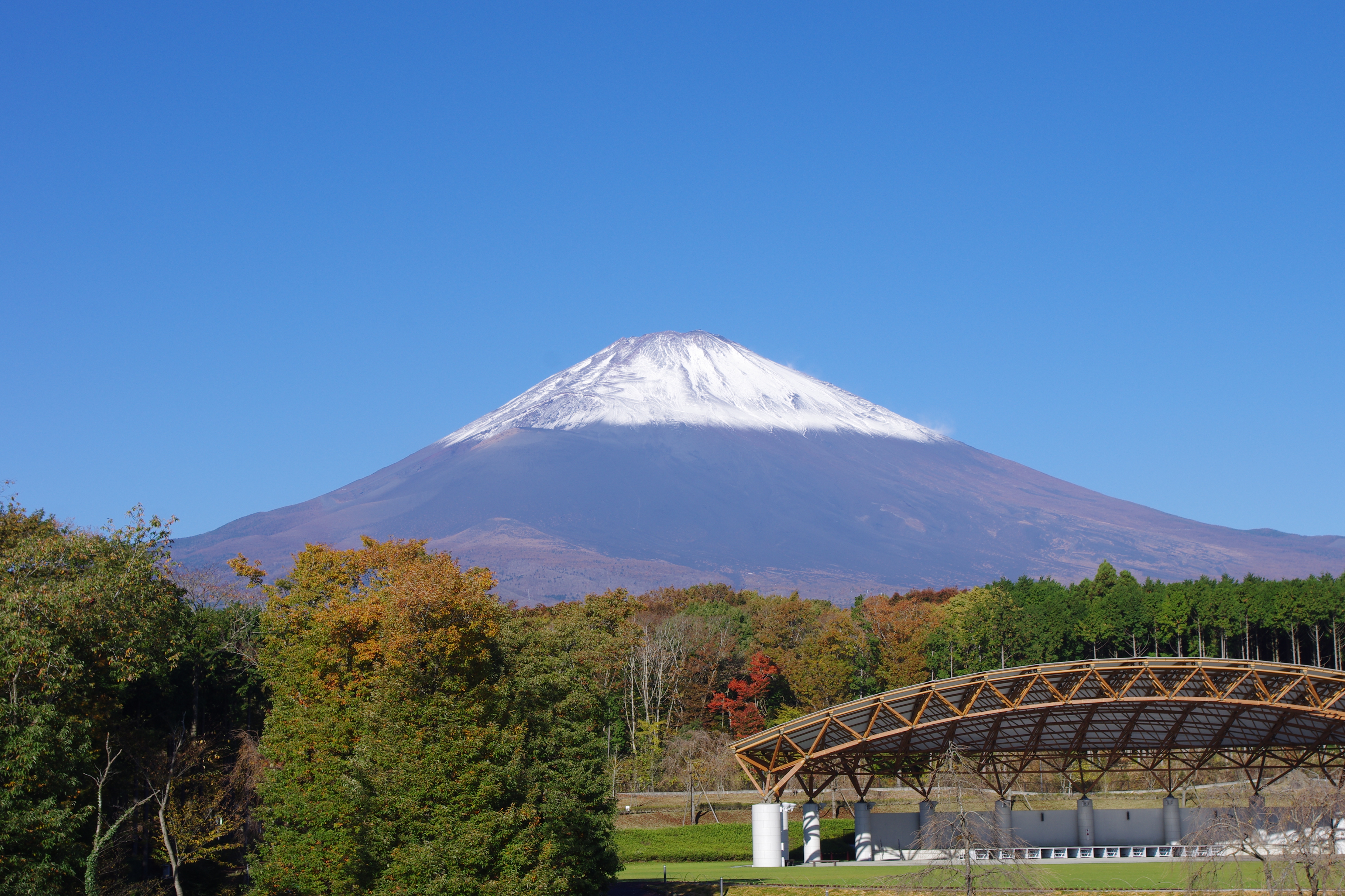 富士山樹空の森の全貌！自衛隊装備と温泉を巡る家族満喫ルート