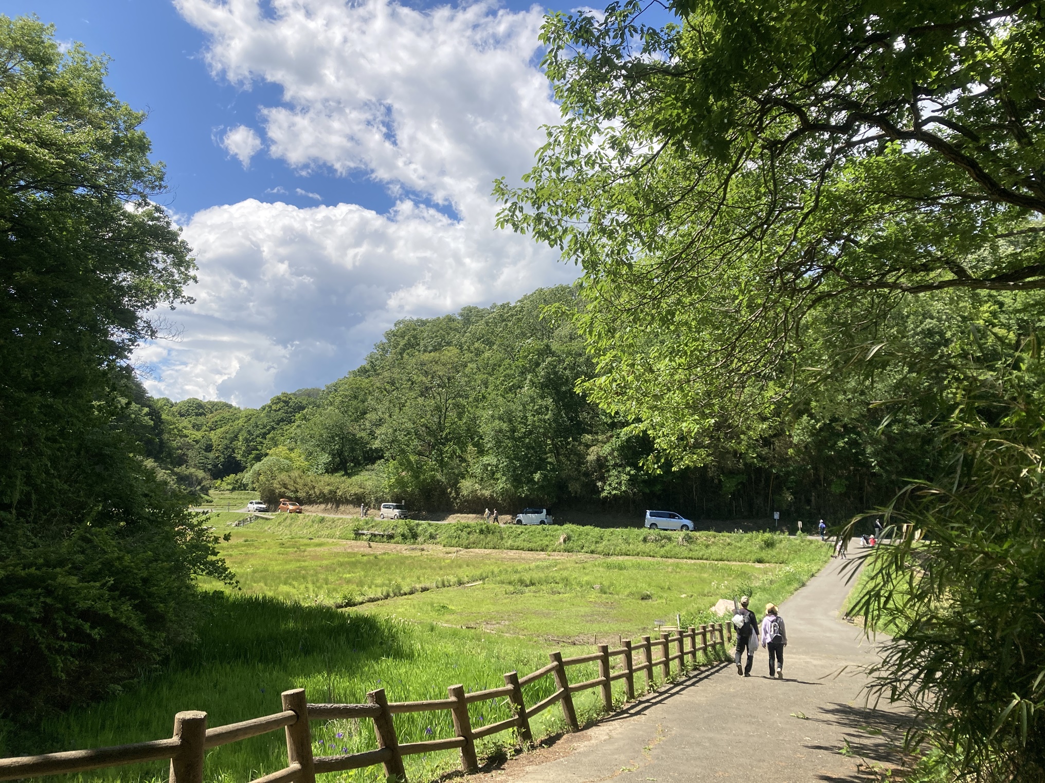【2026年現地取材】横浜の最果てに残る「奇跡の里山」脱デジタル世代が群がる田園都市の聖地とは