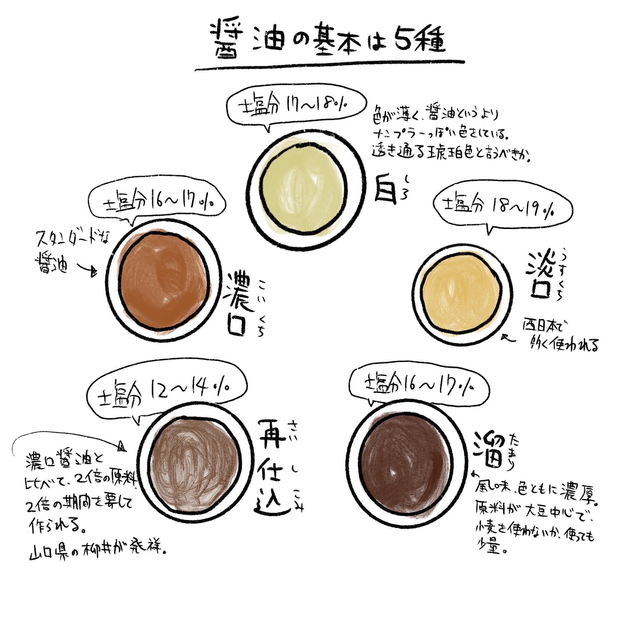 薄口と濃口醤油の違いを徹底解剖！塩分濃度の真相と使い分け