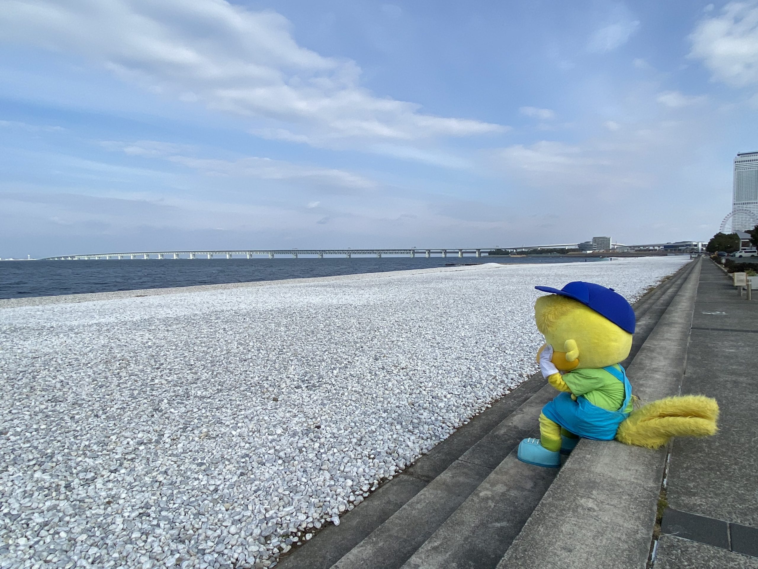 りんくう公園マーブルビーチ完全攻略！絶景夕日と穴場徹底解説