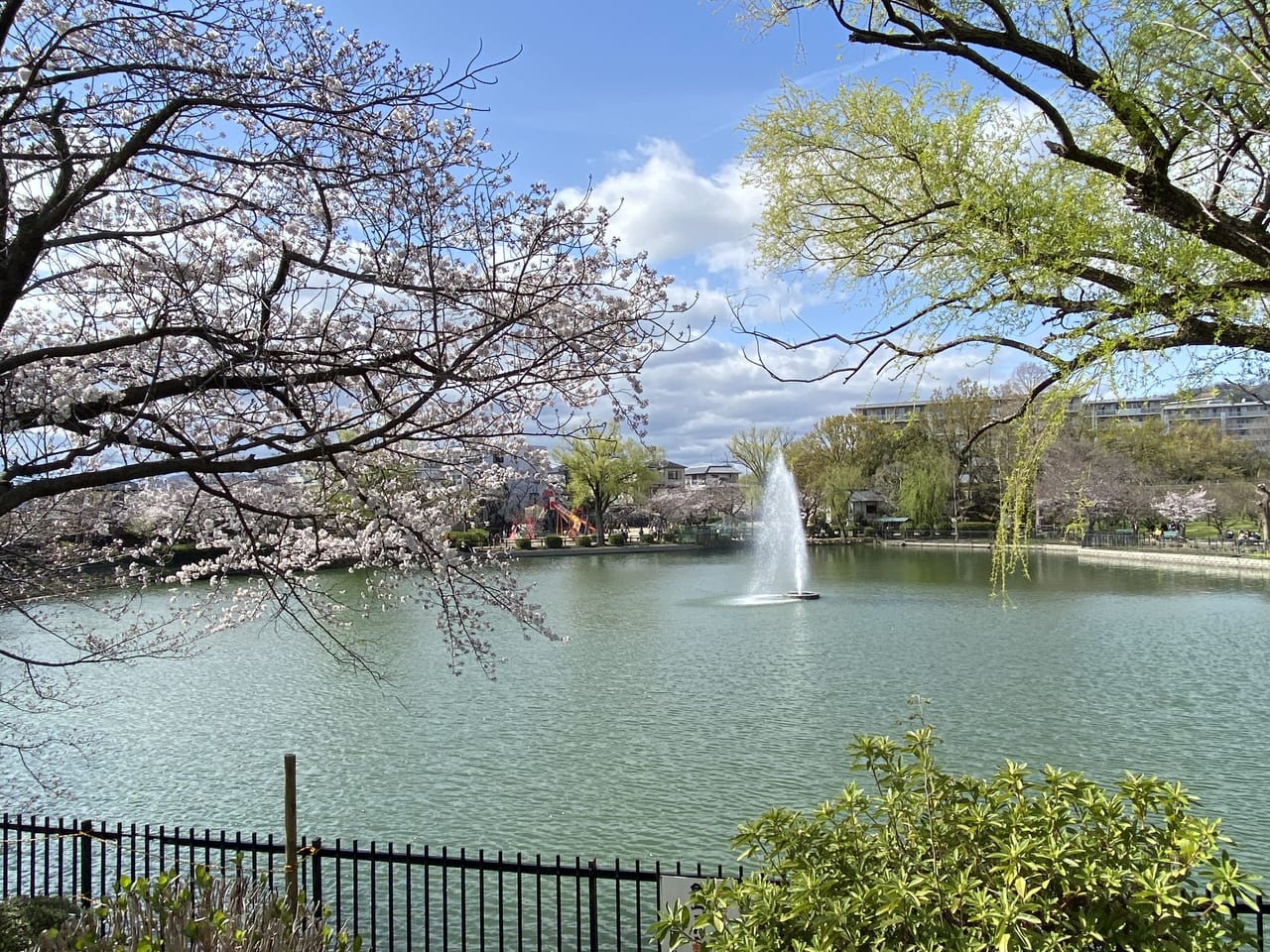 2026年、栄の夜景と多文化が交差する「池田公園」が変貌──都市再生と地域コミュニティの最前線