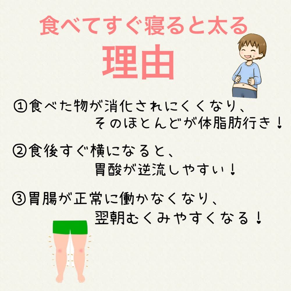 【2026年最新医学】食後のゴロ寝は「右」か「左」か？体の向き一つで変わる胃酸逆流と消化の決定差