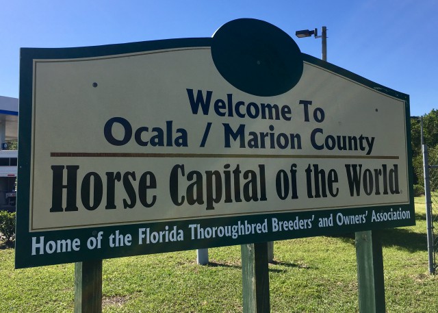 Explain the History of Ocala as Horse Capital