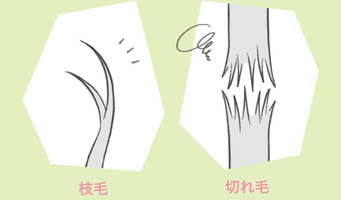 枝毛を裂く快感の代償とは？髪がチリチリになる真相とやめる方法