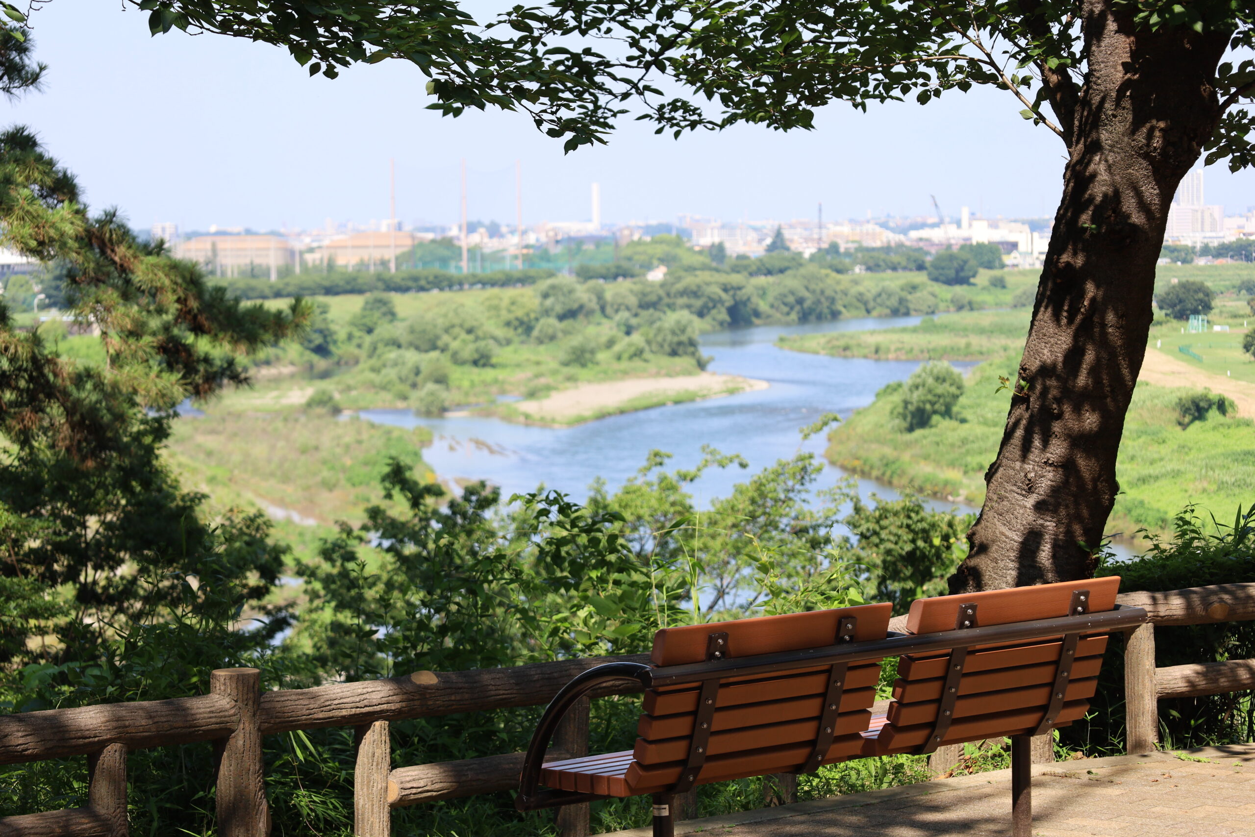 多摩川台公園の魅力を徹底解剖！絶景展望台・あじさい・古墳の最新情報