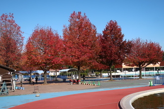 【徹底調査】 加須 は な さき 公園 2026年最新プロフィール #714