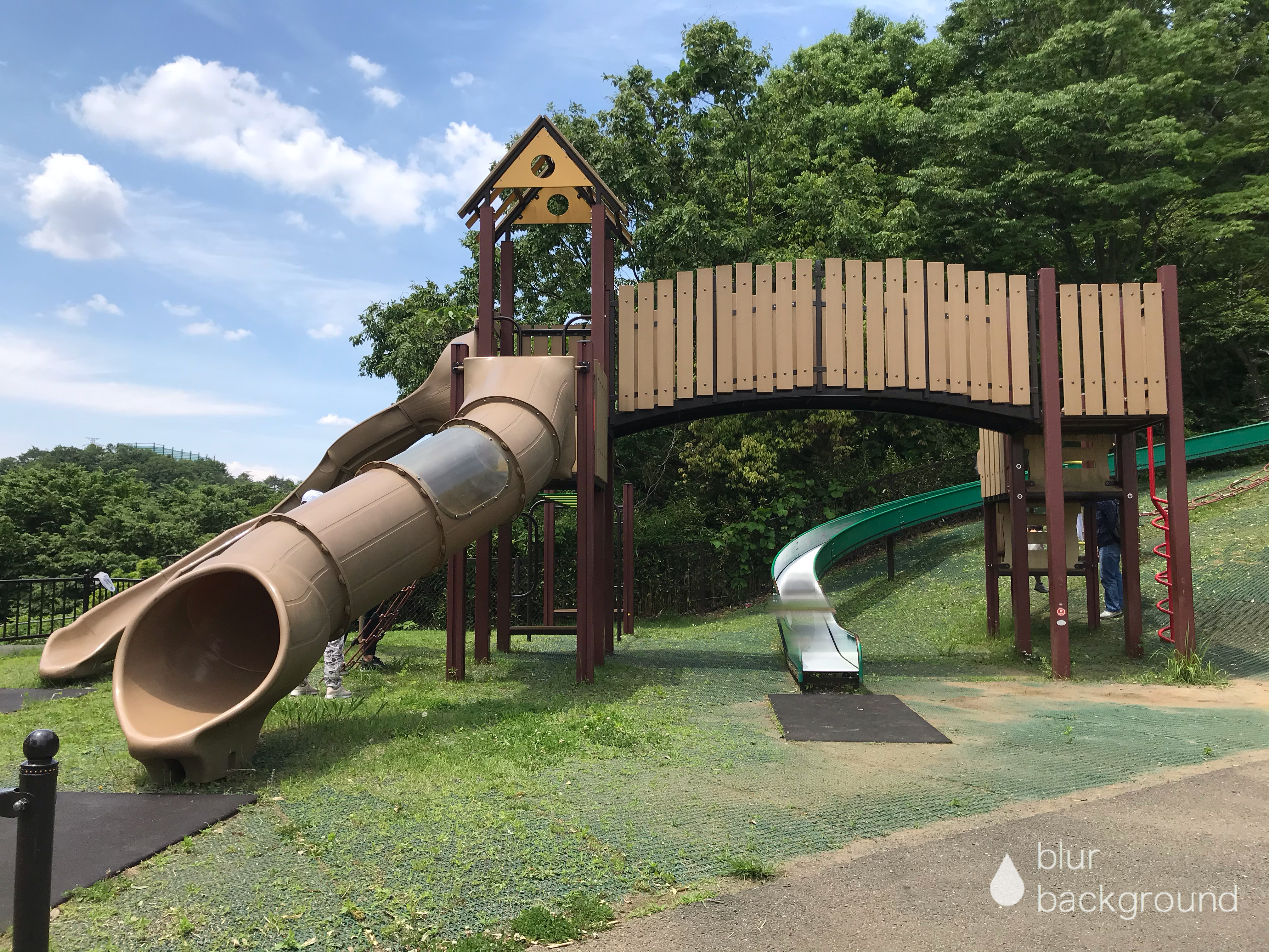 稲城中央公園の魅力を徹底解剖！駐車場料金や話題カフェ・遊具情報